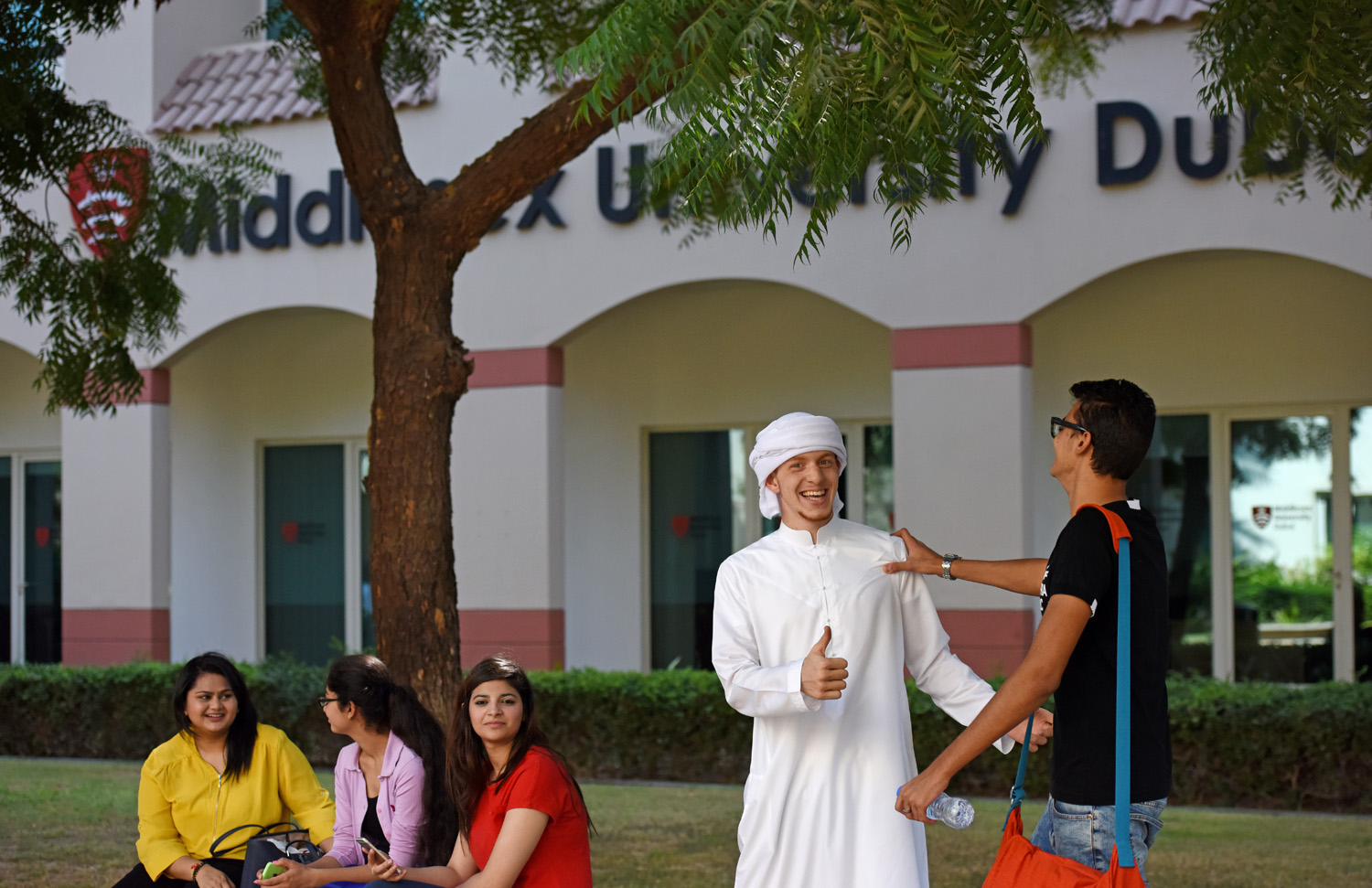 дубай спортс сити фото. District 1 dubai lagoon. Isd dubai. Sports city район дубая. дубай спорт сити.